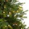 5ft. Pre-Lit North Carolina Spruce Artificial Christmas Tree, Clear Lights